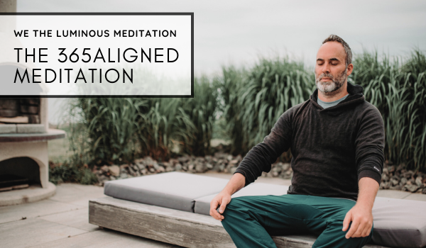 The 365Aligned Mediation